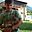Avatar de easydriver
