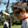 Avatar de Facundo Echeguren