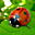 Avatar de coccinella