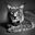 Avatar de dark_kloud