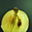 Avatar de kahlenberg