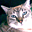 Avatar de juancar04