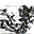 Avatar de fotodemimoto