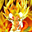 Avatar de arathorn