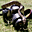 Avatar de VolksRider