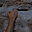 Avatar de sebastian_2301