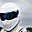 White_Stig