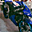 Avatar de maikerl
