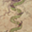 Avatar de kesho99