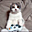 Avatar de batubex