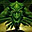 Avatar de mediocaballero