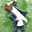 Avatar de platerplane