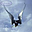 Avatar de freeswallow