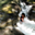 Avatar de fiderroz