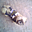 Avatar de sfnilton