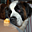 Avatar de francksverg