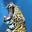 Avatar de POOH25 