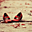 Avatar de tamaragv