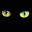 Avatar de gata_dormida