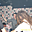 Avatar de rosarch
