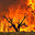 Avatar de benjifirestorm