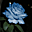 Avatar de aletheia