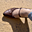 Avatar de nayagua