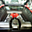 Avatar de rocco_bcn