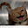Avatar de Gravity Cat