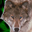 Avatar de gonzalo314 