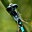 Avatar de dtubau