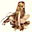 Avatar de zhendra