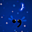 Avatar de lilsm