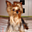 Avatar de fannybugsy