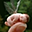 Avatar de pany07
