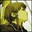 Avatar de Musice
