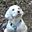 Avatar de esgarrapa