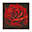 Avatar de elviolinroto