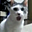 Avatar de maugerpy