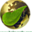 Avatar de holaverde