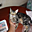 Avatar de jerak