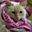 Avatar de choutos