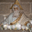 Avatar de jesusluis54