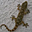 Avatar de bicicotidiana