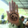 Avatar de Rafael 