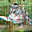 Avatar de chescky