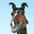 Avatar de anmicoal
