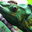 Avatar de Nilmar
