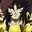 Avatar de wolf90