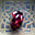 Avatar de bormer
